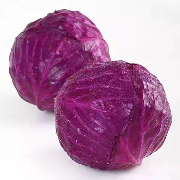 新鲜紫甘蓝紫包菜富含花青素凉拌沙拉营养丰富当季紫色卷心菜