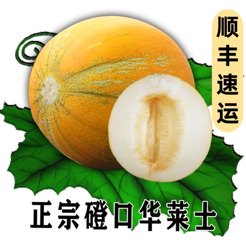 正宗当季磴口华莱士蜜瓜