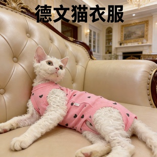 德文猫衣服专用四季护肚四脚衣背心防掉毛春夏款轻薄宠物猫衣服