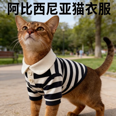 阿比西尼亚猫衣服四季透气防掉毛