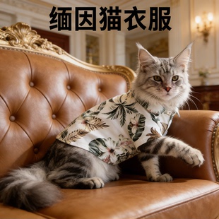 缅因猫衣服专用春秋薄款衬衫防掉毛四季猫咪菠萝印花四季通用透气
