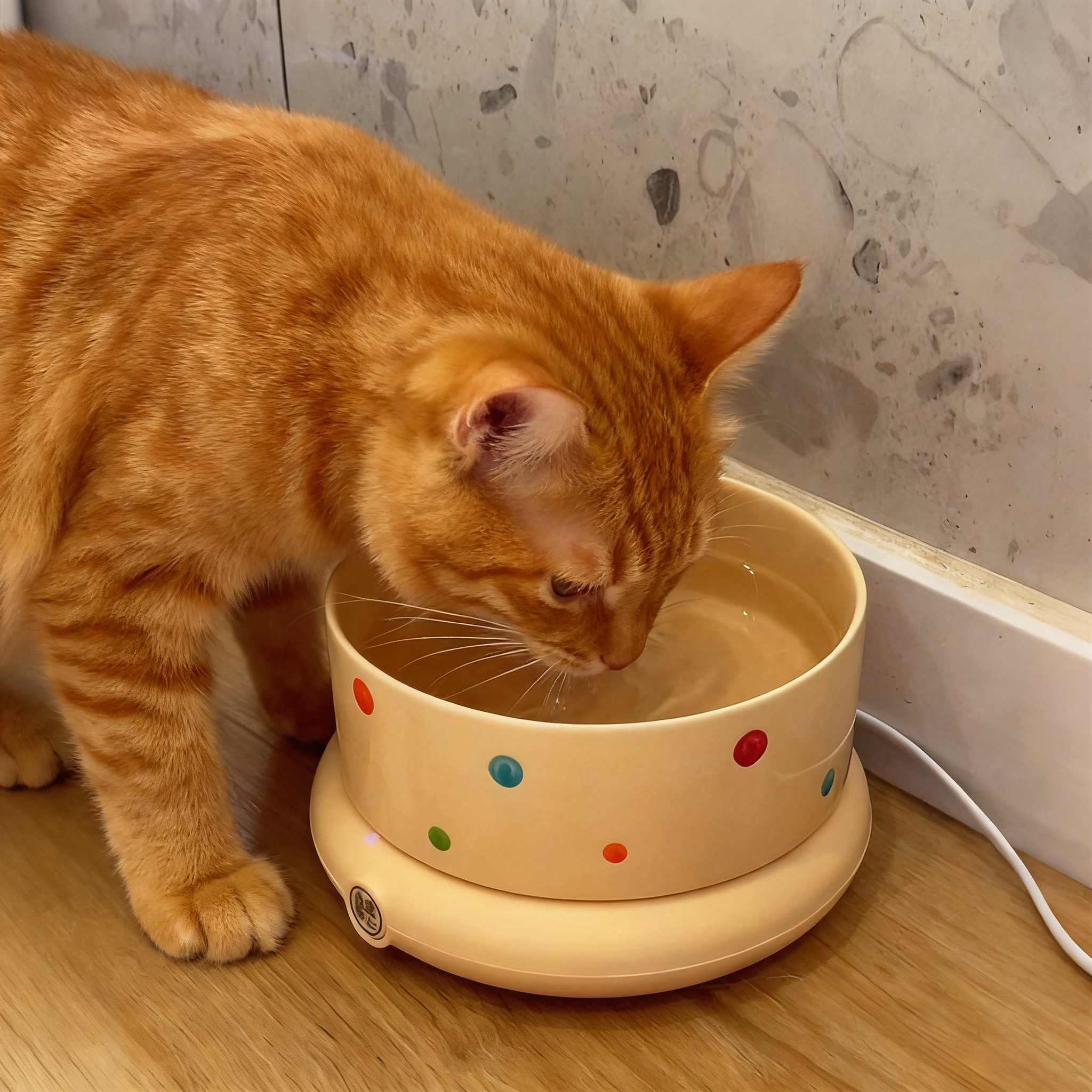 冬季猫咪恒温加热饮水碗