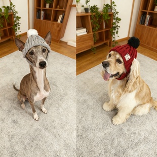 宠物杜宾帽子小灵缇法斗狗狗毛线帽毛猫咪狗犬保暖冬季露耳朵头套