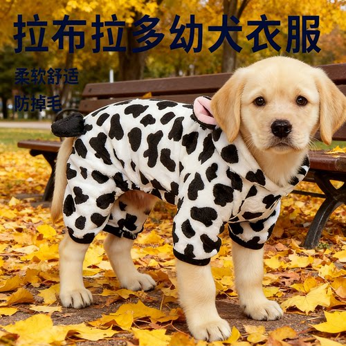 宠物衣服变身装珊瑚绒秋冬恐龙四脚狗狗冬天衣服猫咪宠物服装