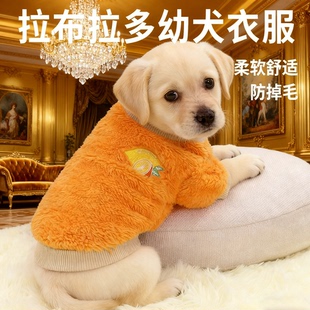 新款拉布拉多幼犬衣服专用小奶狗穿冬装潮流毛绒保暖加厚柔软舒适