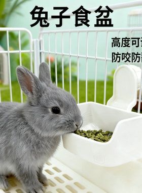 兔子食盆专用悬挂固定加厚防啃咬侏儒兔粮碗防打翻食盒宠物用品