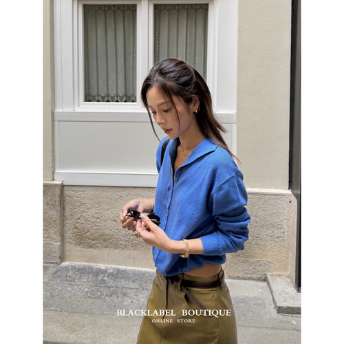 blakclabel 娜娜同款 26早秋新款 蓝色羊毛混纺 小高领针织衫毛衣