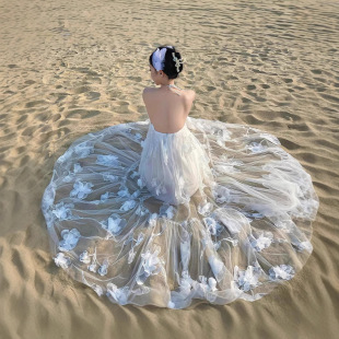 2025网纱绣品婚纱礼服网纱绣花多色刺绣面料蕾丝连衣裙