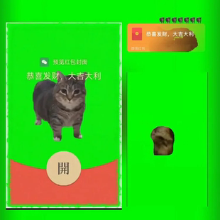 创意搞笑oiiai猫微信红包封面动态搞怪旋转小猫wx皮肤vx2026新款
