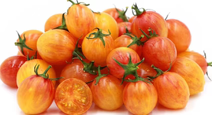 930日出大黄蜂传家宝五粒种子全店满38 偏远地区除外 包邮