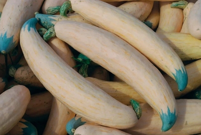 NG01糖果烘焙师5粒38包邮偏远地区除外