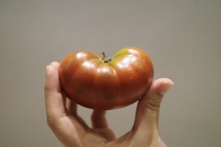 图1.2由群友帕尼尼提供 ARAMIS 172阿拉米斯国王 Dwarf KING