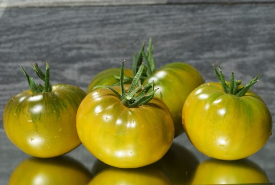 148中国公主 Chinese Princess （5粒种子）