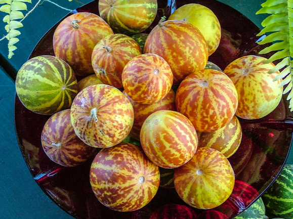 TG01安妮女王口袋甜瓜20粒全店满38包邮偏远地区除外