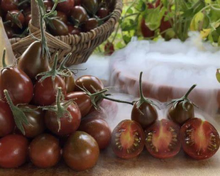 包邮 3粒番茄种子 706童话石榴石