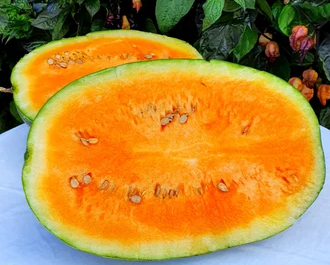 XG02橘子格洛西瓜5粒全店满38包邮偏远地区除外