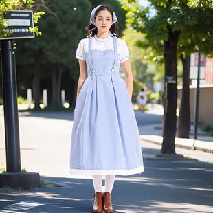 PlusSize HalloweenCostume Adventures in Oz Blue Plaid Dress