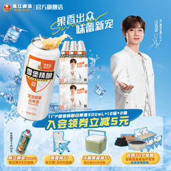 珠江啤酒雪堡精酿白啤酒整箱500mL*12罐*2箱批发罐装比利时风味