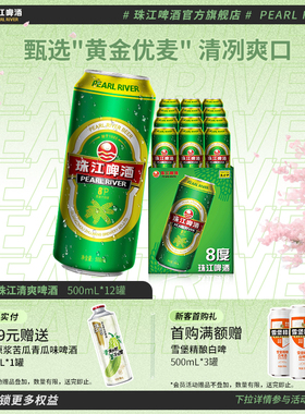8°P珠江啤酒整箱500ml*12罐拉格清爽黄啤批发聚会官方旗舰店