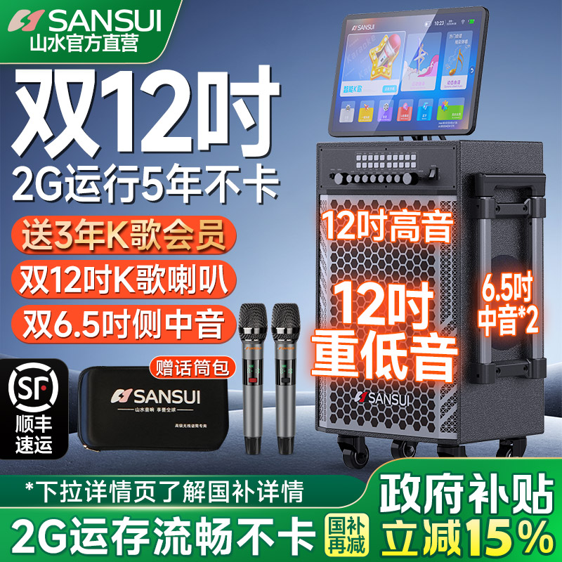 山水TD128 双12寸户外K歌音响广场舞音箱带显示屏家庭KTV卡拉OK机