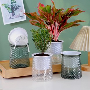 水培花盆塑料懒人自吸水绿萝月季桌面家用树脂多肉百合专用器皿盆