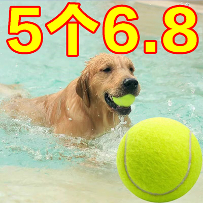 宠物用品棒球网球用品大型小型犬耐咬玩具用品玩具玩具狗狗狗用。