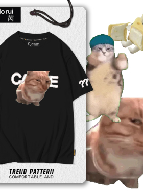 新鲜哥猫meme香蕉猫表情包卡通新款短袖t恤衫男女学生纯棉半袖体