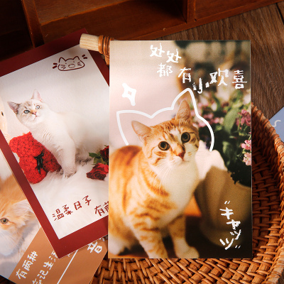 软萌小动物可爱猫咪明信片30张