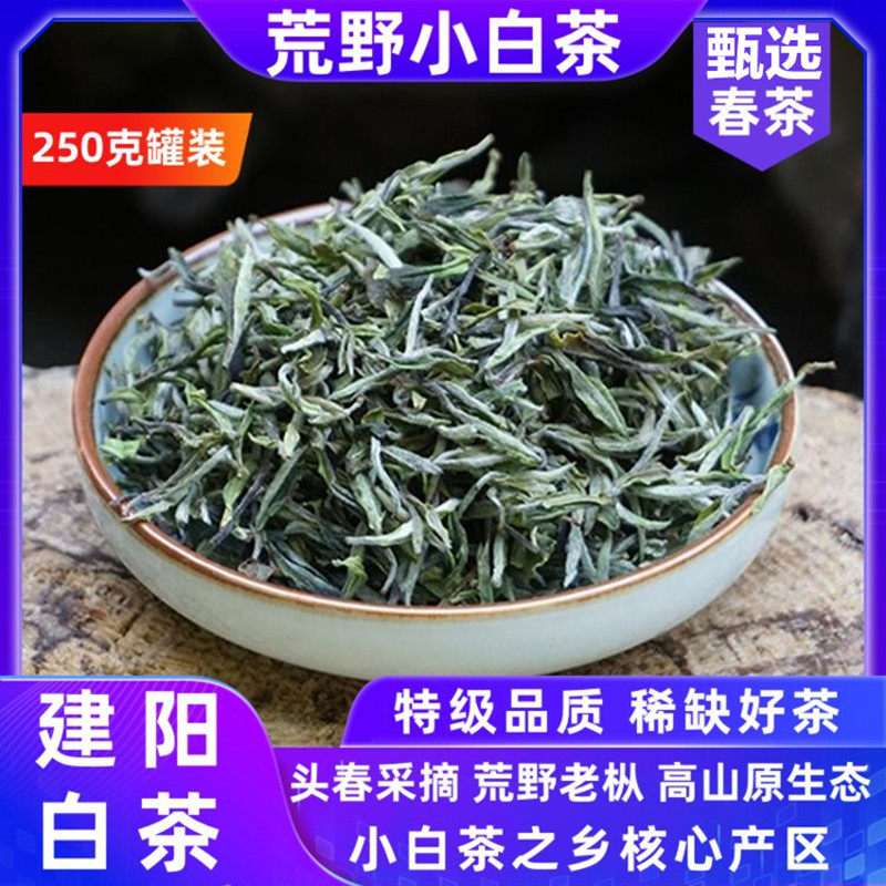 2022建阳特级荒野小白茶250克 碳焙高山贡眉菜茶银针牡丹清冽甘醇