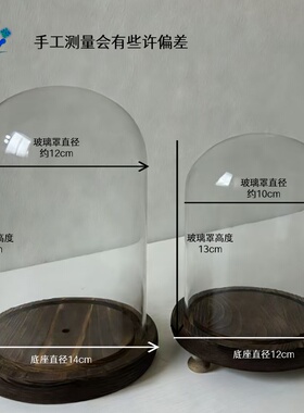 永生干花玻璃罩发光防尘手办摆件