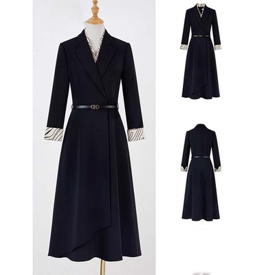 2025秋季新款打底裙送腰带轻奢高端职业装气质女神范连衣裙QJ0099