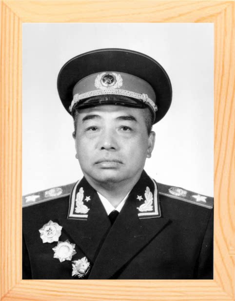 营养书画 进口实木 有框画现代装饰画挂摆件 开国元勋 彭德怀元帅