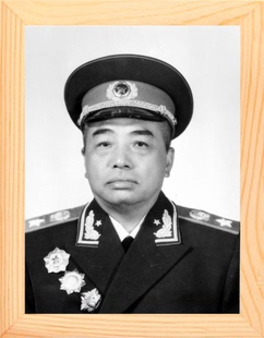 营养书画 进口实木有框画现代装饰画挂摆件 开国元勋 彭德怀元帅