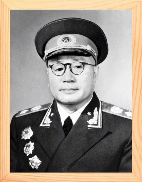 营养书画 进口实木 有框画装饰画挂摆件 榜样的力量 刘伯承元帅