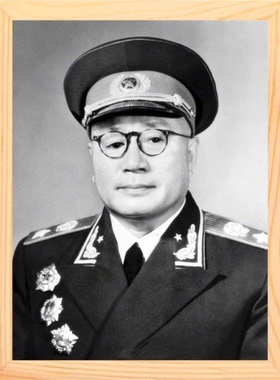 装饰画挂摆件榜样刘伯承元帅