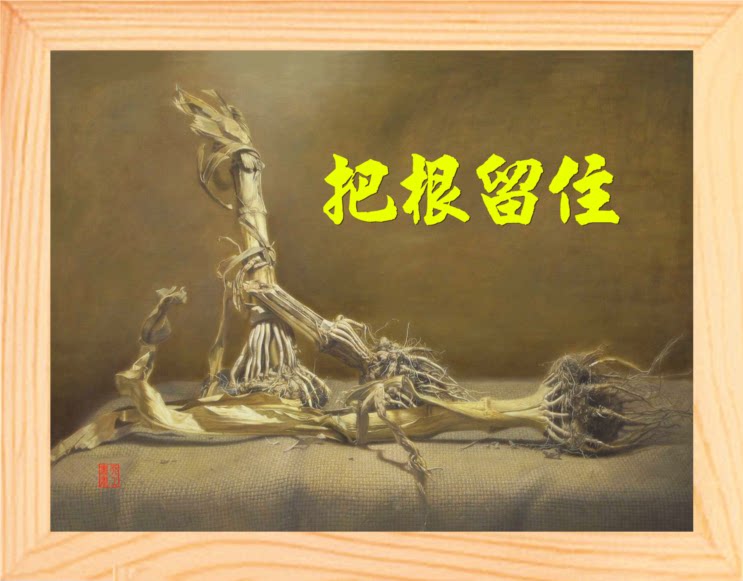 营养书画 天然实木有框画现代装饰画哲理画乡愁挂摆件 把根留住