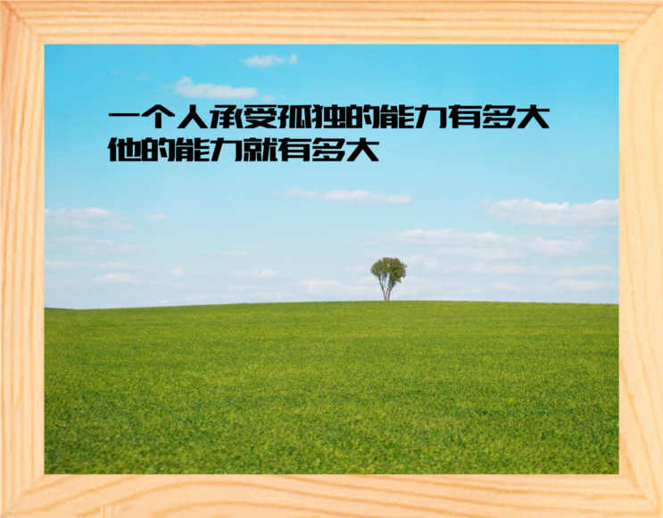 营养书画 天然实木有框画现代装饰画挂摆件 承受孤独的能力 2款