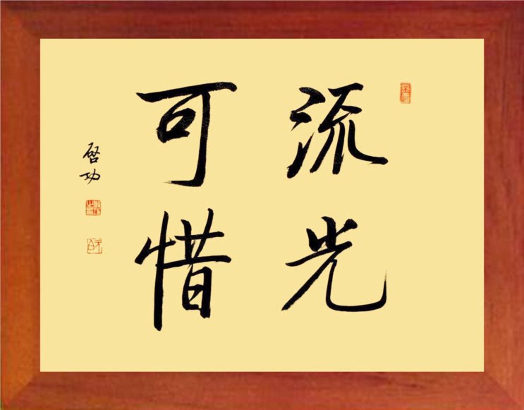 营养书画 天然实木有框画现代装饰画挂摆件 启功书法 流光可惜2款