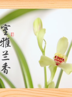 装饰画简约家居挂摆件室雅兰香