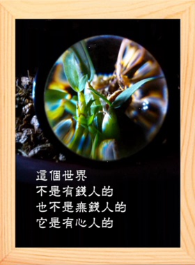 装饰画摆件这个世界是有心人的