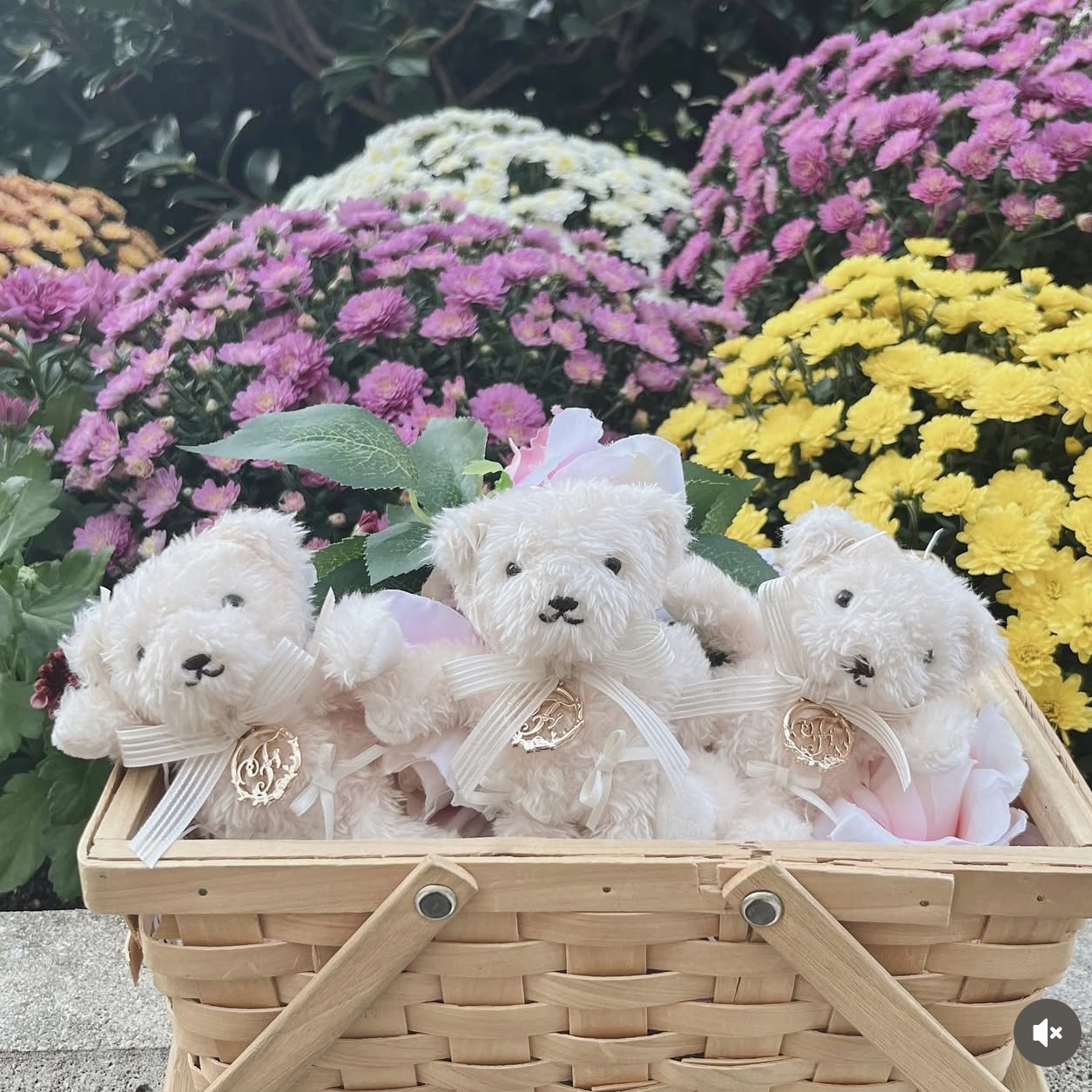 直播间专拍链接日本Lolita小物