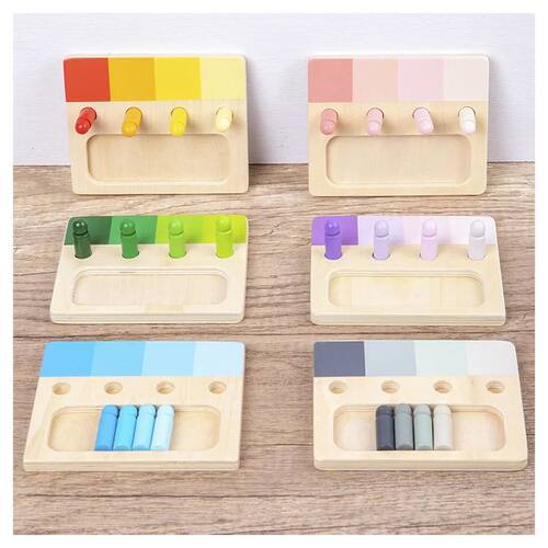 Wooden Montessori Toy Color Sense System Training Wood Inser