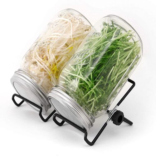 家用梅森瓶发芽罐不锈钢网盖芽苗菜种子西兰花水培套装发芽罐1升