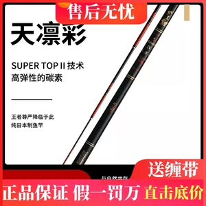 Gamakatsu伽玛卡兹 伽玛鲤 MARK IV 天凛彩 台钓竞技鱼竿日本进口