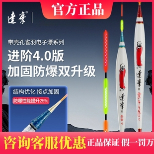 2501 2502达摩孔雀羽电子浮漂高灵敏黑坑底钓综合漂鲫鲤夜光漂