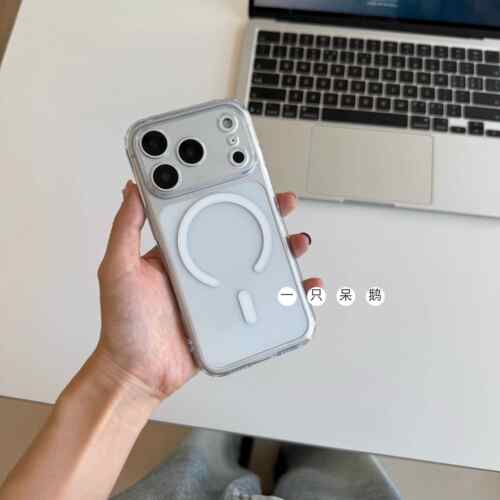 一只呆鹅|精孔磁吸简