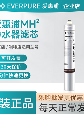 爱惠浦MH2-CN滤芯商用净水器原装咖啡奶茶店大流量直饮配件耗材