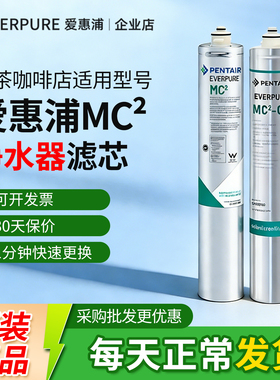 爱惠浦mc2滤芯商用原装通用直饮大流量净水器SA950720配件耗材