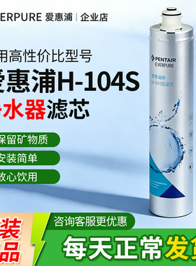 爱惠浦H104滤芯家用净水器H100厨房过滤器原装替换耗材