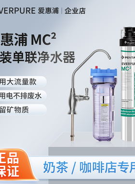 滨特尔爱惠浦净水器MC2商用咖啡奶茶店直饮水机家用厨房EF-900P